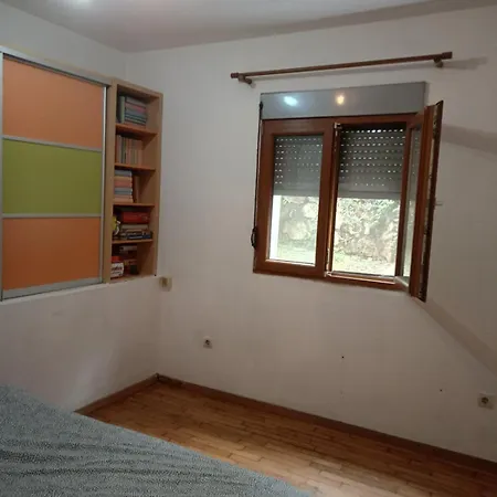 Guest house Comfy Oliva 16 3*
